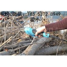 優(yōu)質(zhì)園林剪切器廠家直銷(xiāo)