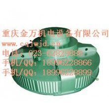 T、TL系列電機(jī)